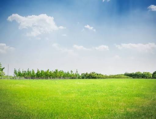 Greenfield land ready for planned development